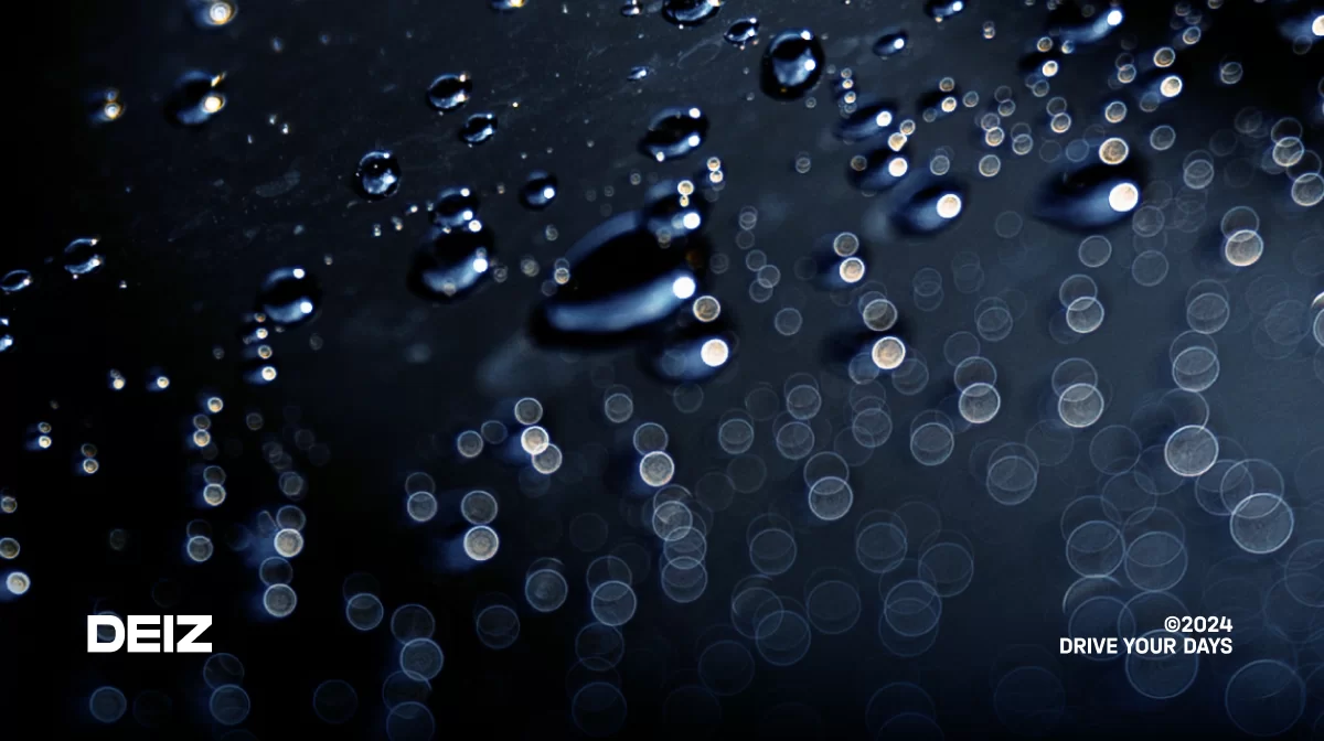 How to repair the car after rain | recommendations from DEIZ